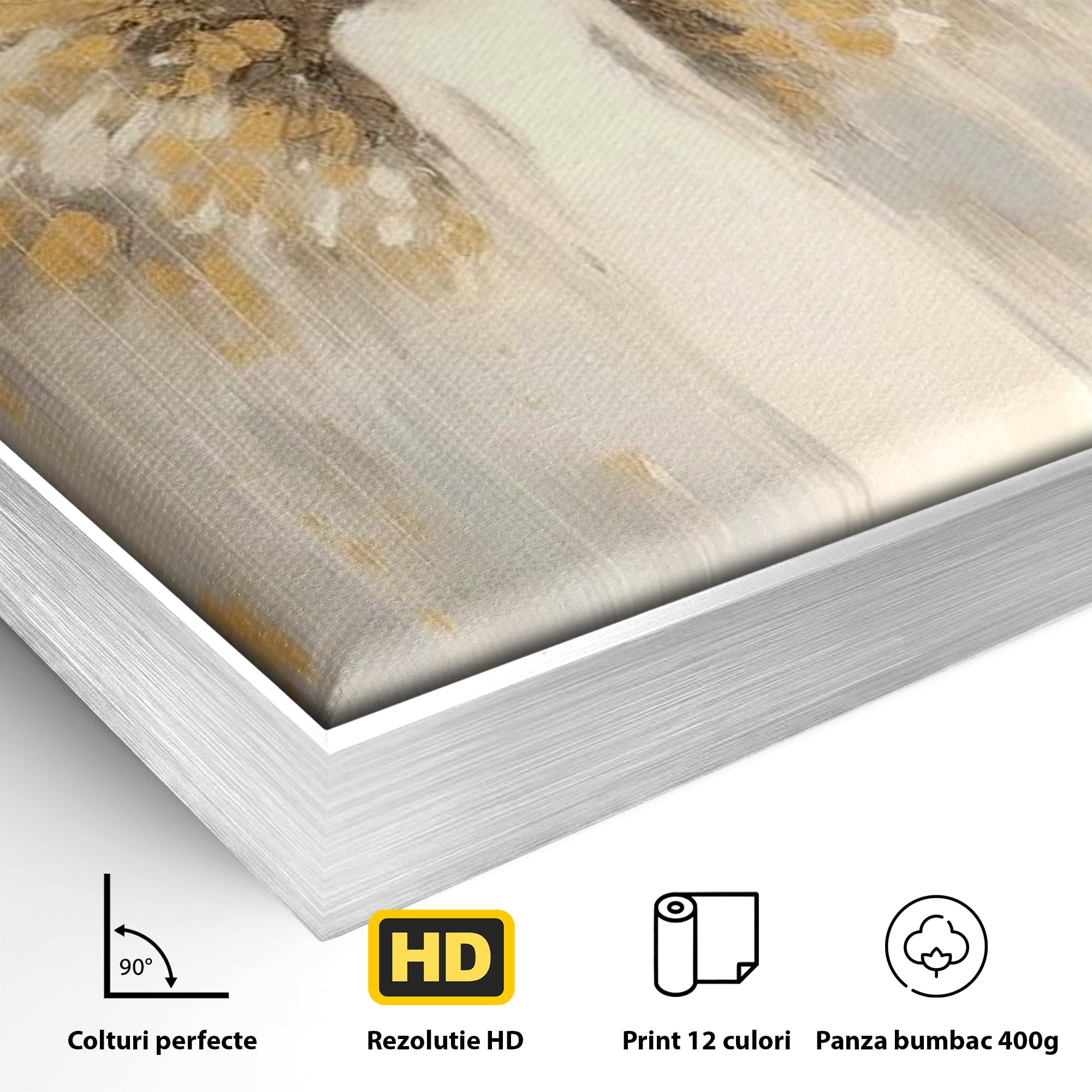 Detaliu al suprafetei: tablou canvas cu inger si aripi aurite, in rama de aluminiu argintiu